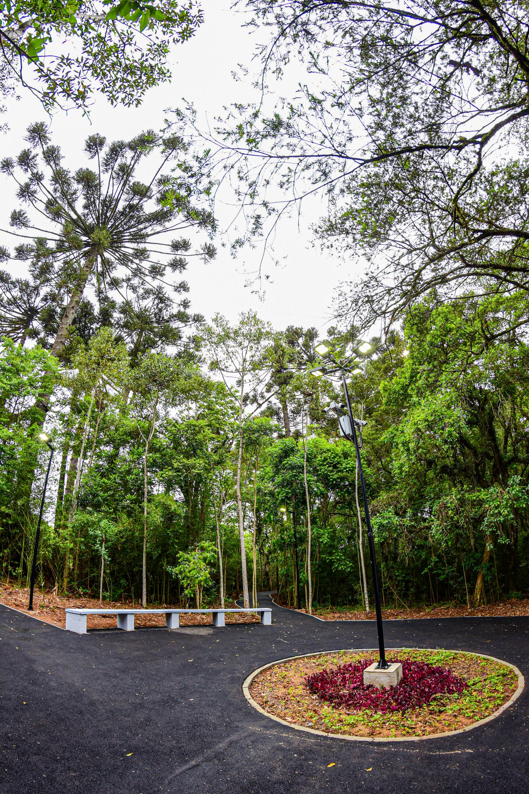Parque Ambiental Sesc Rio Negro | Fecomércio
